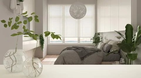 White table top or shelf with glass vase with hydroponic plant, ornament, roo Stock Illustration