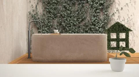 White table top or shelf with green plant in pot shaped like house, japanese  Stock Illustration