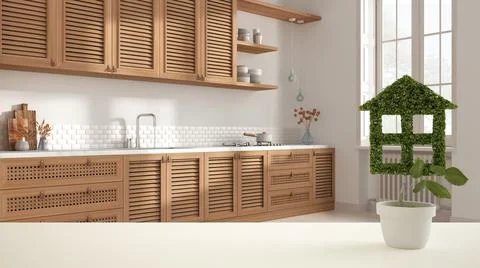 White table top or shelf with green plant in pot shaped like house, wooden co Stock Illustration