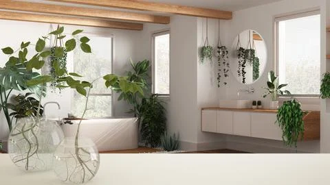 White table top or shelf with glass vase with hydroponic plant, ornament, r.. Stock Illustration
