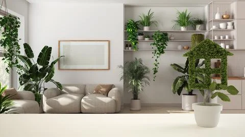 White table top or shelf with green plant in pot shaped like house, kitchen.. Illustrazione stock
