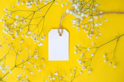A white tag with a thread on a bright yellow background in colors. Layout o.. Stock Photos