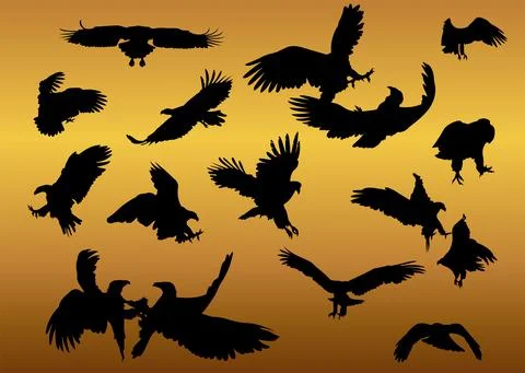 White-tailed eagle in flight silhouettes vector set Stock Illustration