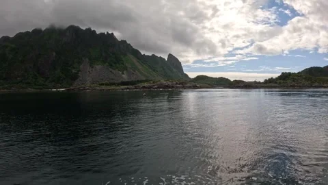 White tailed sea eagle flying over fjord with boat wake Lofoten Stock-Footage 344047615