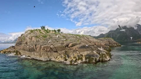 White tailed sea eagle flying over rocky islet in turquoise fjord Lofoten Stock-Footage 344453173
