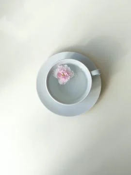 White tea Cup in the center of white background. clear water in a mug. top vi Stock Photos