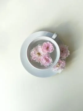White tea Cup in the center of white background. clear water in a mug, in the Stock Photos