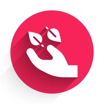 White Tea leaf in hand icon isolated with long shadow background. Tea leave.. Stock Illustration