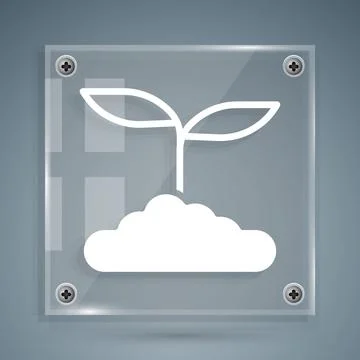 White Tea leaf icon isolated on grey background. Tea leaves. Square glass pan Stock Illustration