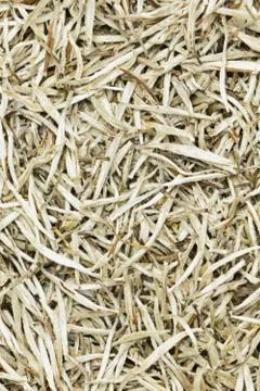White tea leaves background texture -  Silver needle chinese tea leaves Stock Photos