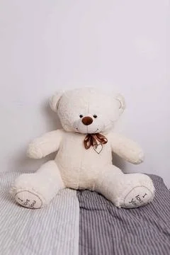 White teddy bear with brown bow sitting Stock Photos