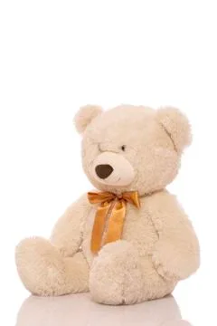 White teddy bear Stock Photos