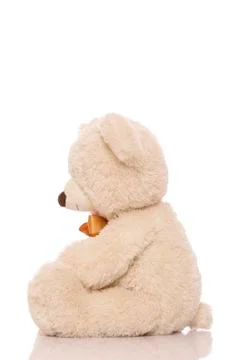 White teddy bear Stock Photos