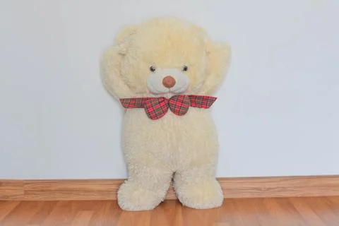 White teddy bear Stock Photos