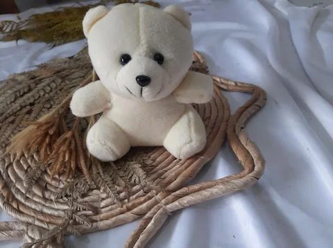 White teddy bear Stock Photos