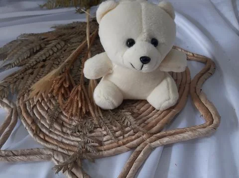 White teddy bear Stock Photos