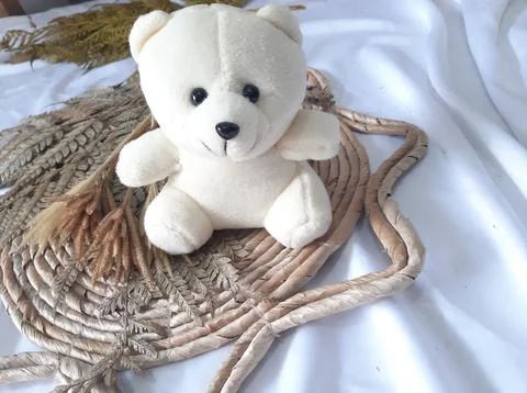 White teddy bear Stock Photos