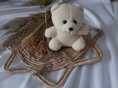 White teddy bear Stock Photos