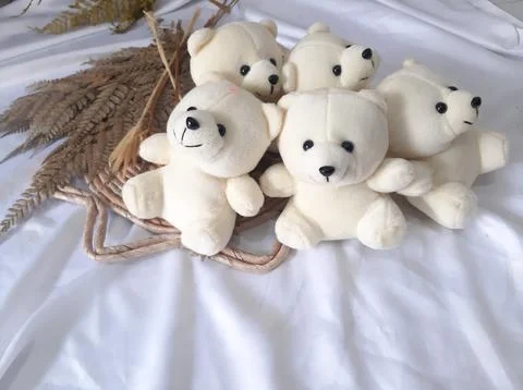 White teddy bear Stock Photos