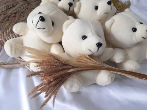 White teddy bear Stock Photos