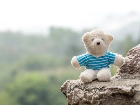 White teddy bear on stone The background is a forest and mountains. copy spac Stock Photos