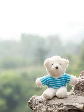 White teddy bear on stone The background is a forest and mountains. copy spac Foto stock