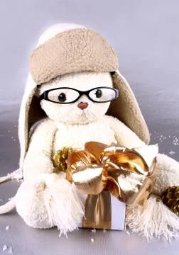 White teddy bear in winter cap and glasses with gift Stock Photos