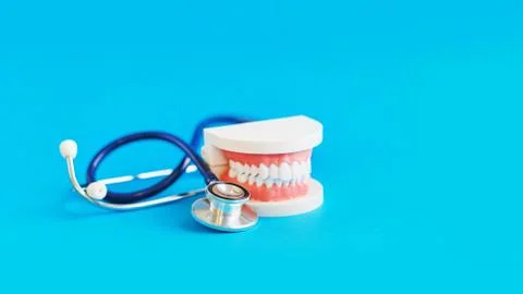 White teeth model and stakescope on blue background. teeth care. concept of Foto stock