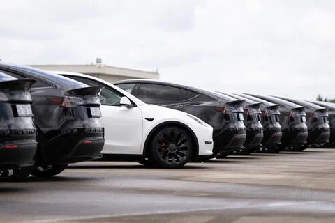 White Tesla Model Y among black Model Y cars at delivery lot Stock Photos