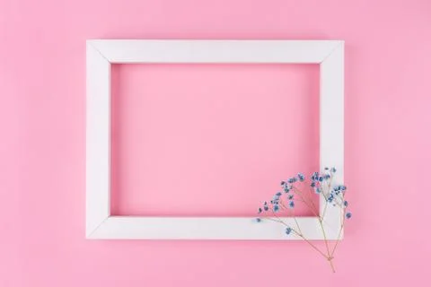 White text frame on a pink background. Stock Photos