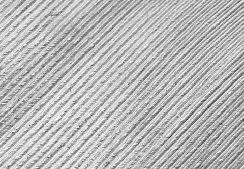 White texture background of a bird feather Stock Photos