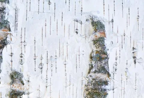 White texture of bark of old birch Stock Photos