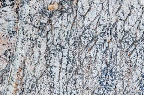 White texture of sea stone texture Stock Photos