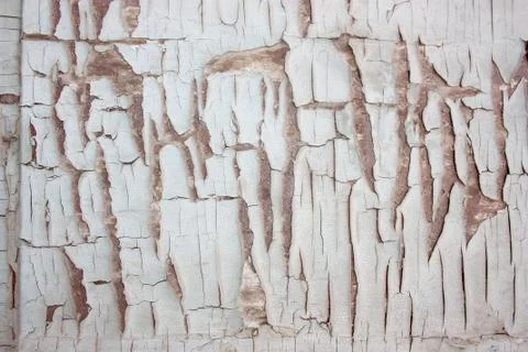 White texture of stucco wall Stock Photos
