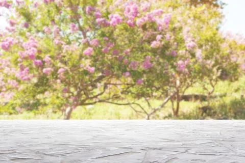 White textured surface on blur trees with pink flowers background Stock Photos