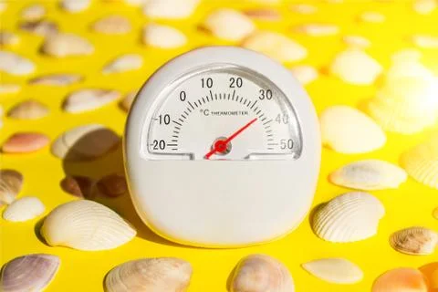 White thermometer with +26 degrees Celsius and a lot of seashells, hot summer Stock Photos