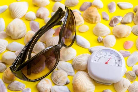 White thermometer with +26 degrees Celsius and a lot of seashells, hot summer Foto stock