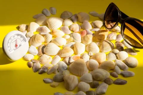 White thermometer with +26 degrees Celsius and a lot of seashells, hot summer Stock Photos