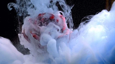 White thick paint and small air bubbles beautifully settle on the petals Video stock 114319657