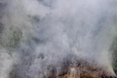 White thick smoke Stock Photos
