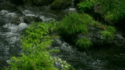 White Thread Falls Stock Footage 332864130
