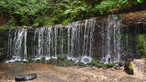 White Thread Falls Stock Footage 332884211