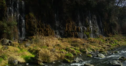 White Thread Falls Stock Footage 332904084