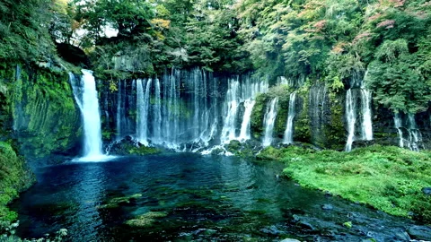 White Thread Falls Stock Footage 332978199
