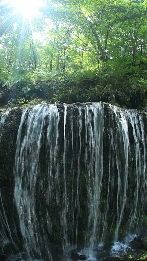 The White Thread Waterfall and Sunlight Through the Trees Video stock 324891828