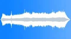 White Throated Capuchin DistantSound Effect