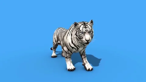 Bengal Tiger Standing Growl 3d Renderin Stock Illustration