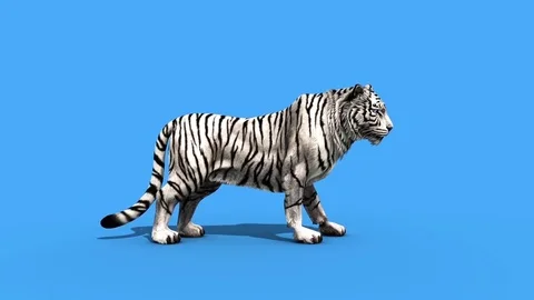 Bengal Tiger Standing Growl 3d Renderin Stock Illustration