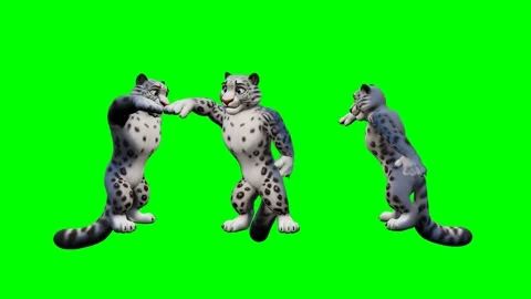 White tiger character dancing hip hop on green screen. 4K 스톡 동영상 348006257