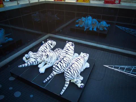 White Tiger Cub Foto stock